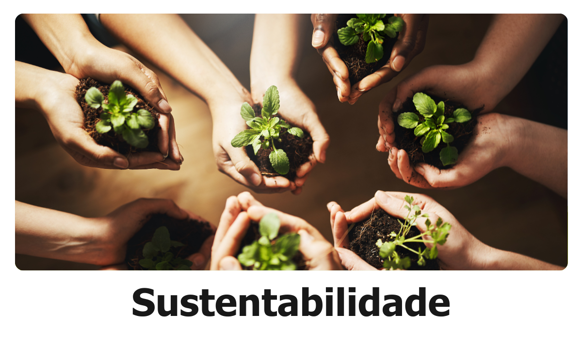 Das Empresas Fecham Por Falta De Planejamento 11