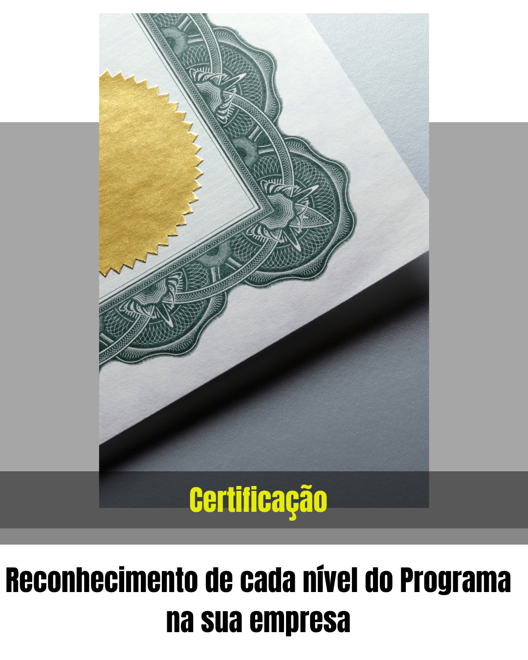 sessões semanais com agenda prévia e encontros periódicos, sempre no mesmo dia e horário (18)