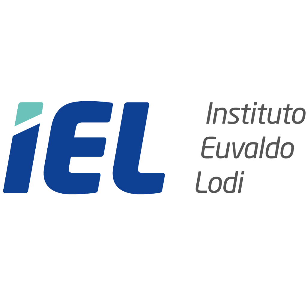 entrevista por competência (11)