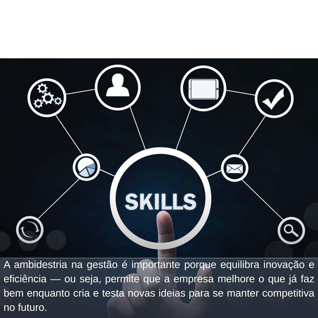 entrevista por competência (27)