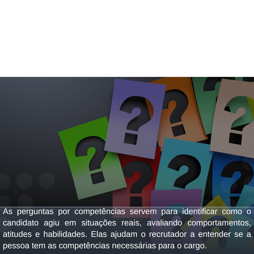 entrevista por competência (28)
