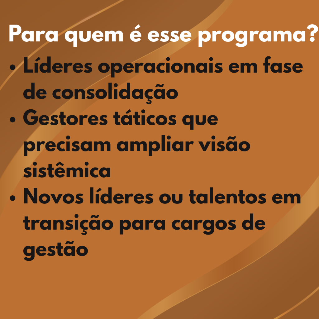 programa de desenvolvimento gerencial (24)