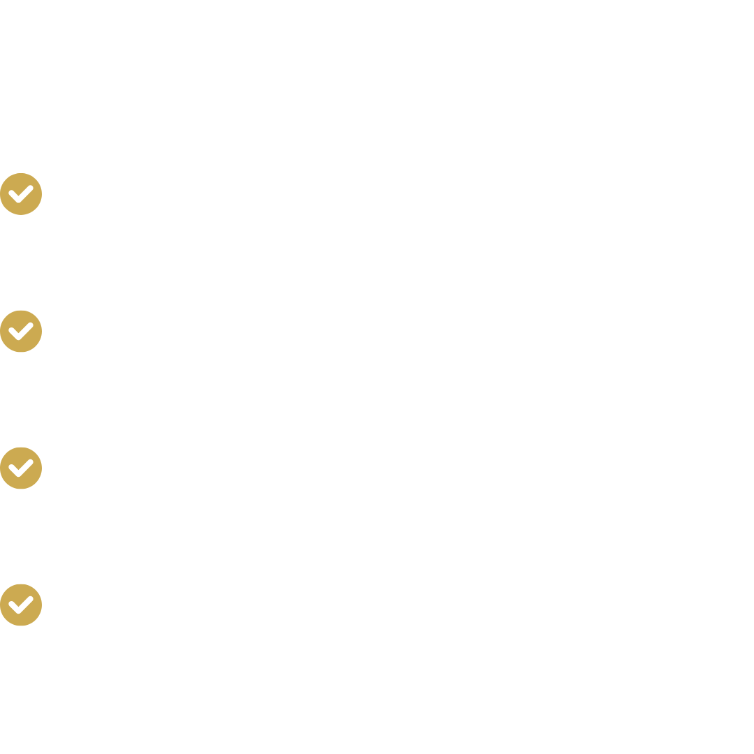 rede legado designer (15)