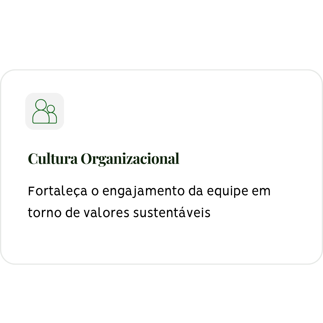 rede legado designer (77)